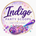 Indigo Party Scoops - Home